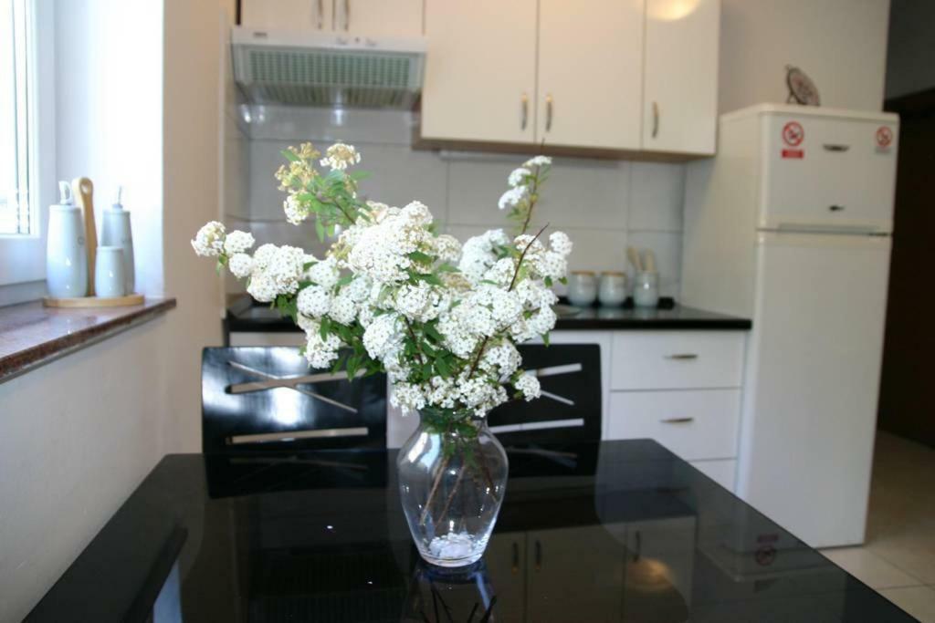 Vicy Apartment 노바야 외부 사진
